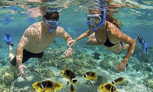 Tram Island Snorkeling